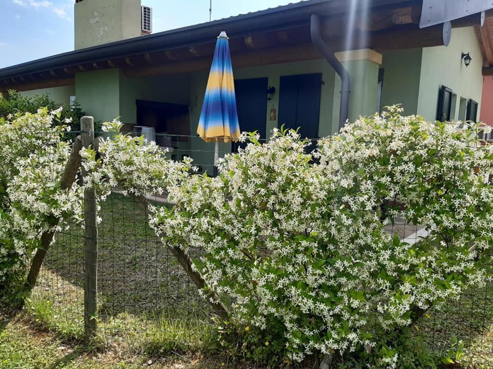 Agriturismo Lizzarola Peschiera del Garda Buitenkant foto