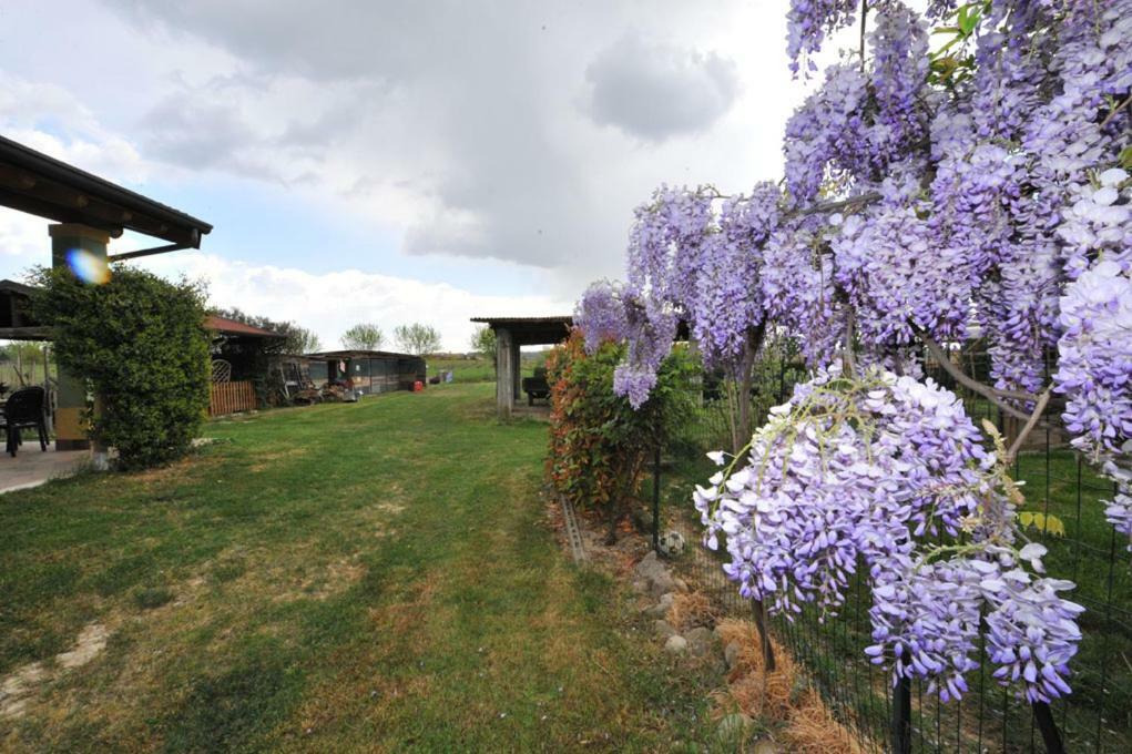 Agriturismo Lizzarola Peschiera del Garda Buitenkant foto